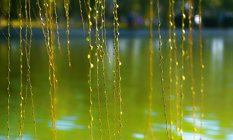 春江水暖已夏至.jpg