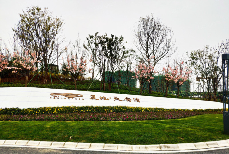 复地集团四川成都天府湾小区实景图