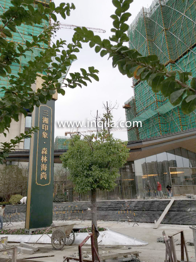 QQ图片2018092716171.jpg