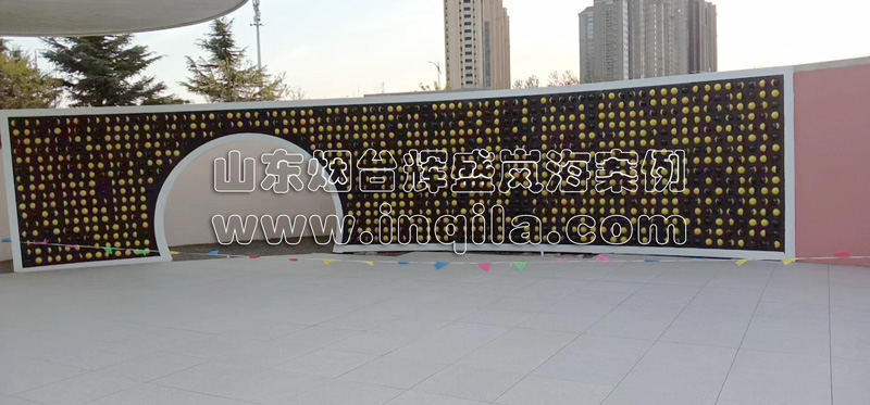 山东烟台辉盛岚海示范区发光墙案例