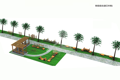 青少年儿童户外大型木制体能拓展训练组合设备厂家直销YQL-D12901体能组合