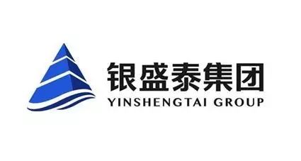 银盛泰国际logo.jpg