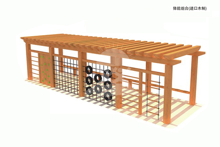 青少年儿童户外大型木制体能拓展训练组合设备厂家直销YQL-D12906长廊带攀爬