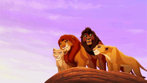 狮子王.gif